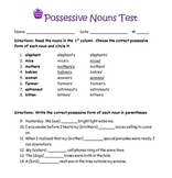 Possessive Nouns Test