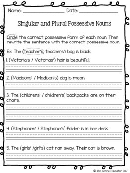 Possessive Nouns Worksheets by Fab and Fun in First | TpT