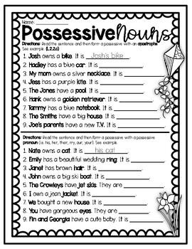 Possessive Nouns and Apostrophes Worksheet by Kendra's Kreations in 2nd