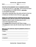 Possessive Pronouns Quiz/Homework/Practice Worksheet