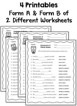 possessive and plural nouns worksheets for practice or assessment