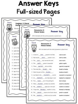 possessive and plural nouns worksheets level 2 digital and printable