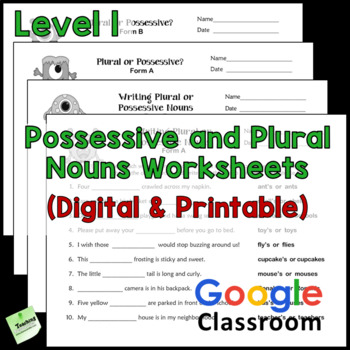 Preview of Possessive and Plural Nouns Worksheets - Level 1 - Digital and Printable