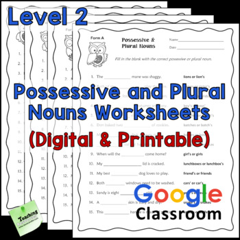 Preview of Possessive and Plural Nouns Worksheets - Level 2 - Digital and Printable
