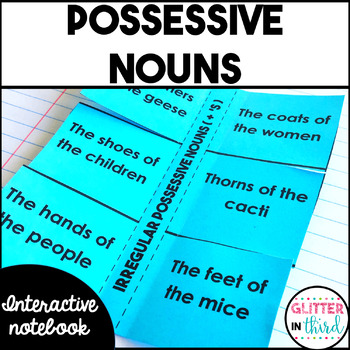Preview of Possessive nouns Activities Grammar Interactive Notebook