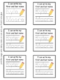 Goal Setting, "I Can. . " Statements on Premade Post-its: 