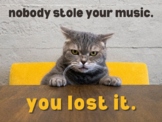 Poster - Nobody Stole your music