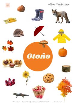 Preview of Poster Otoño Montessori con imágenes reales.Autumn Poster Montessori.