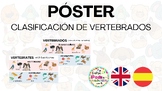 Póster: clasificación de vertebrados ENG y ESP