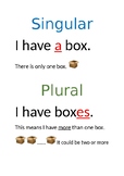 Posters showing Singular to Plural rules