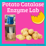 Potato Catalase Enzyme Lab