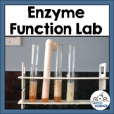 Potato Catalase Experiment - Potato Enzyme Lab - Effect of