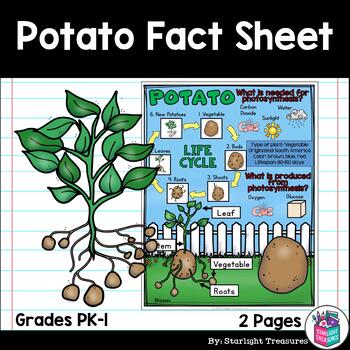 Preview of Potato Fact Sheet for Early Readers - Plant Study