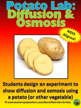 Preview of Potato Lab: Diffusion and Osmosis -  NGSS