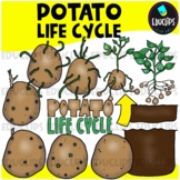 Potato Life Cycle Clip Art Set {Educlips Clipart}
