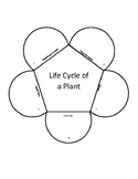 Potted Plant Life Cycle Project