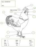 Poultry Anatomy Worksheet