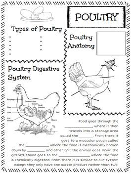 Preview of Poultry Notes