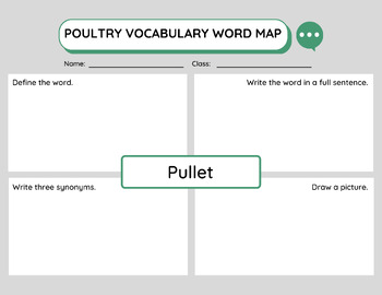 Preview of Poultry Pullet Vocab Word Map