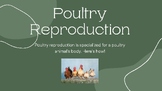 Poultry Reproduction
