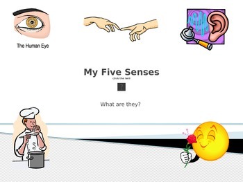 Preview of Power Point for Teaching My Five Senses