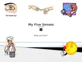 Power Point for Teaching My Five Senses