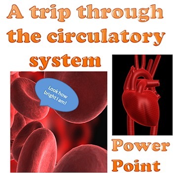 Preview of Power point: A trip through the circulatory system