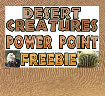 Preview of Power point: Desert Creature Adaptation