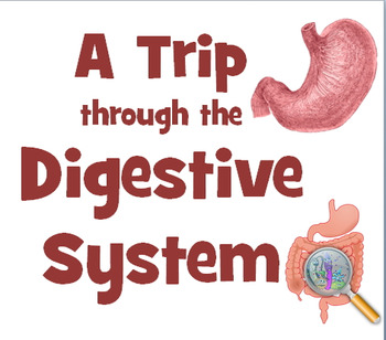 Preview of Power point: Digestive system AKA Big Mack Diary