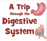 Power point: Digestive system AKA Big Mack Diary