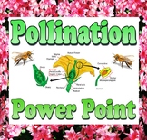 Power point: Pollination