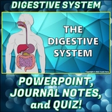 PowerPoint: Digestive System PP Pack