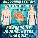 PowerPoint: Endocrine System PP Pack