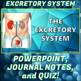 PowerPoint: Excretory System PP Pack