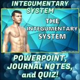 PowerPoint: Integumentary System PP Pack