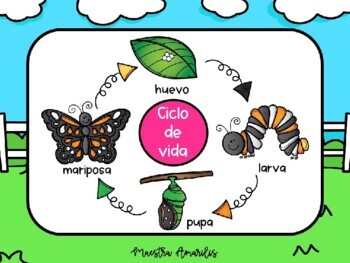 PowerPoint Lesson: Todo sobre los animales by Maestra Amarilis | TPT