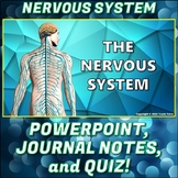 PowerPoint: Nervous System PP Pack
