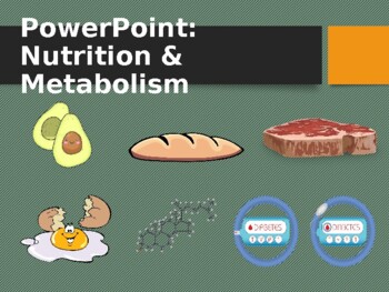 Preview of PowerPoint: Nutrition and Metabolism