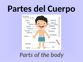 Preview of PowerPoint Presentation: Las partes del cuerpo