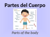 PowerPoint Presentation: Las partes del cuerpo