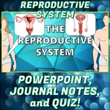 PowerPoint: Reproductive System PP Pack