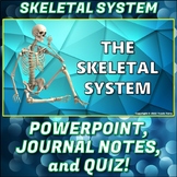 PowerPoint: Skeletal System PP Pack