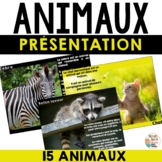 Présentation sur les animaux - 15 animaux - French Animals