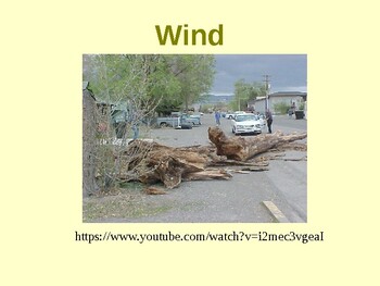 Local and global winds