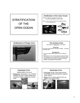 Preview of Powerpoint Notes Open Ocean: Pelagic