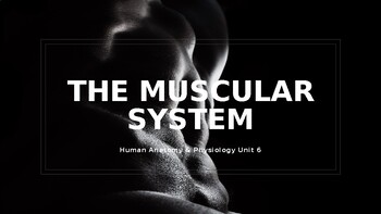 Preview of Powerpoint: The Muscular System PowerPoint (Human Anatomy & Physiology Unit 6)
