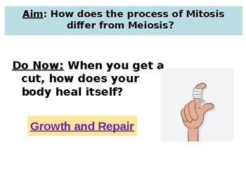 Preview of Powerpoint: How can we differentiate between the process of mitosis and meiosis
