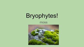 Preview of Powerpoint presentation for Bryophytes (mosses)