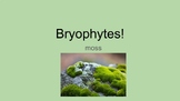 Powerpoint presentation for Bryophytes (mosses)