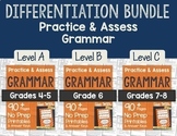Practice & Assess Grammar: Differentiation BUNDLE!